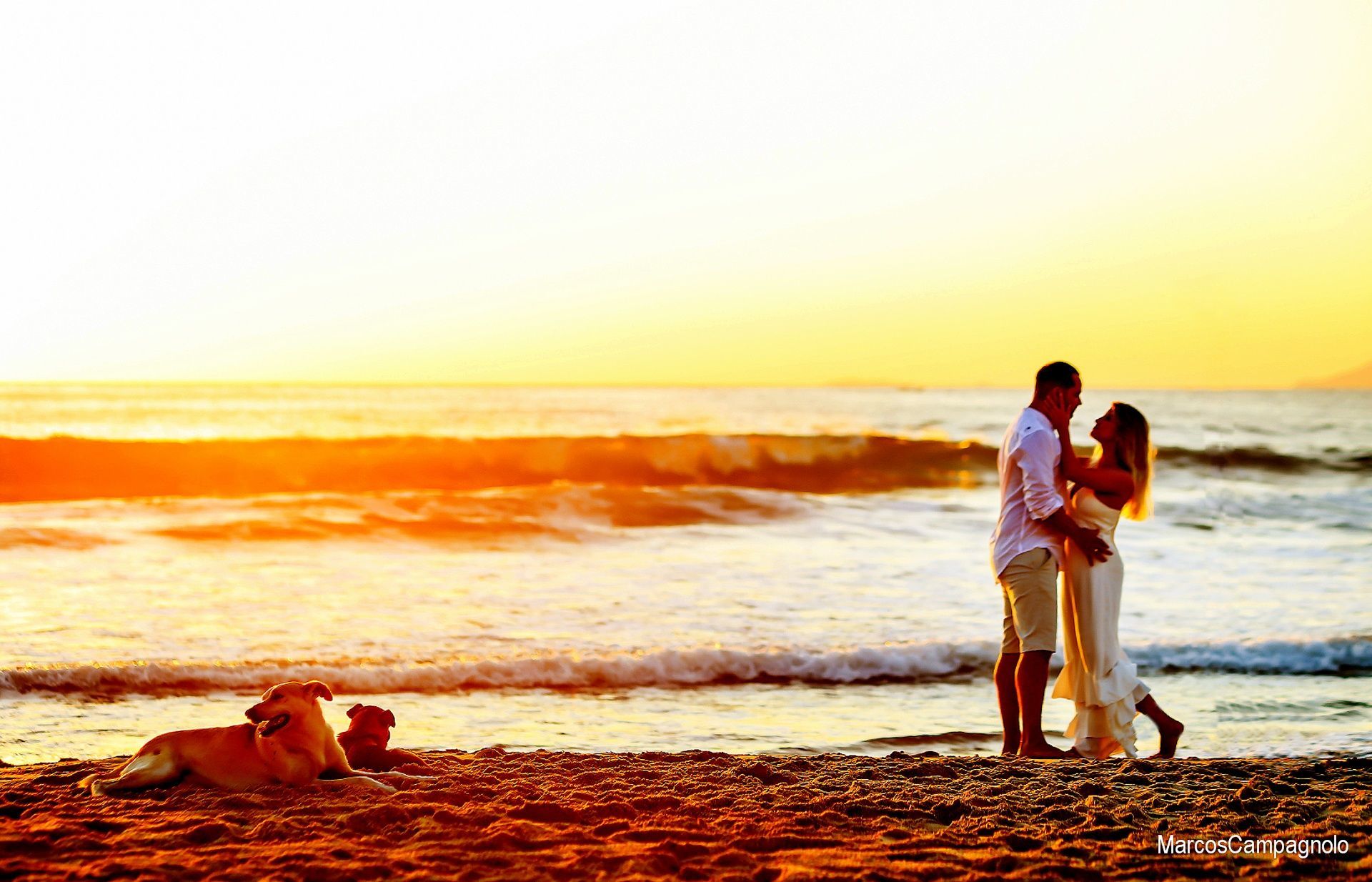 Foto Ensaio Pré Casamento Bárbara e Sadi - Imagem 6