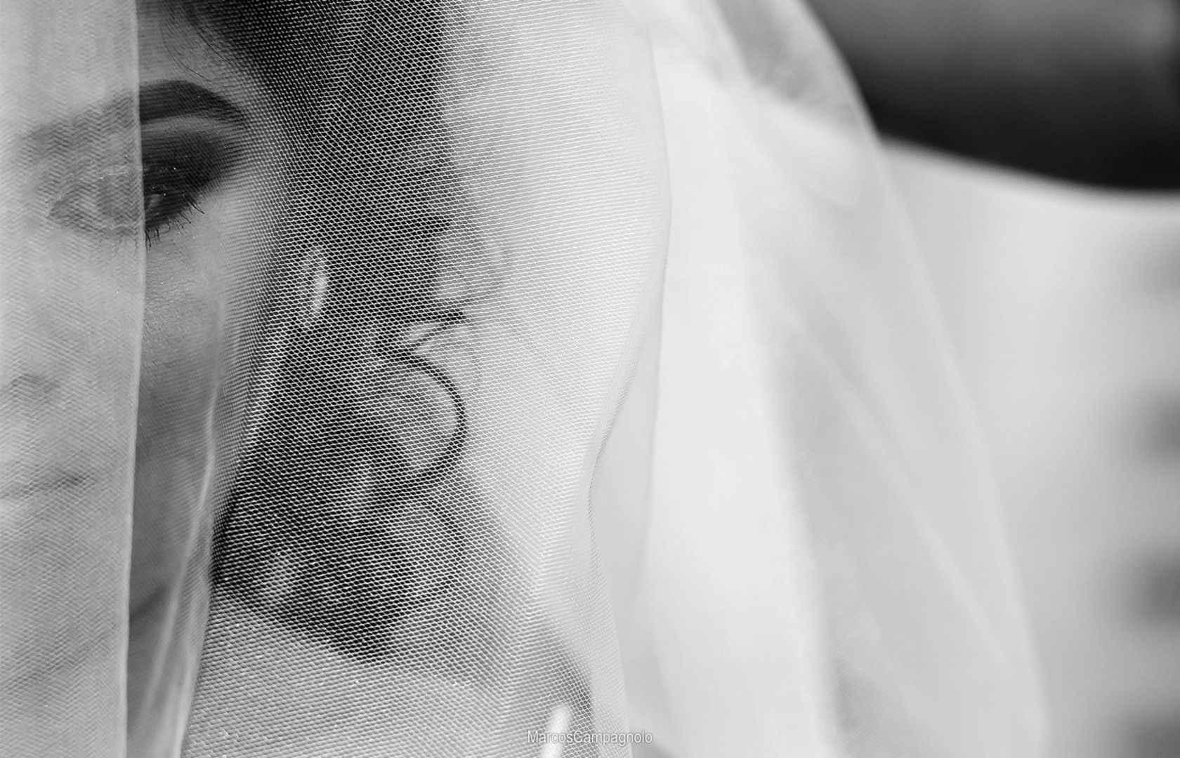 Foto Casamento Vivian e Ademir  - Imagem 5