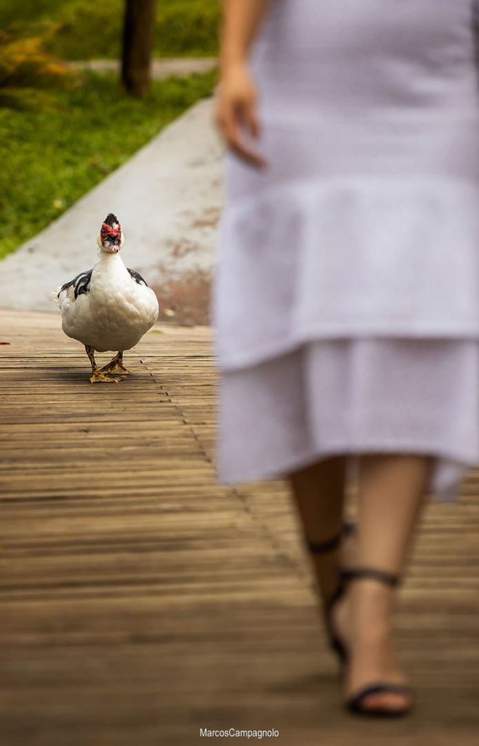 Foto Pré Casamento Carolina e Leonardo - Imagem 1