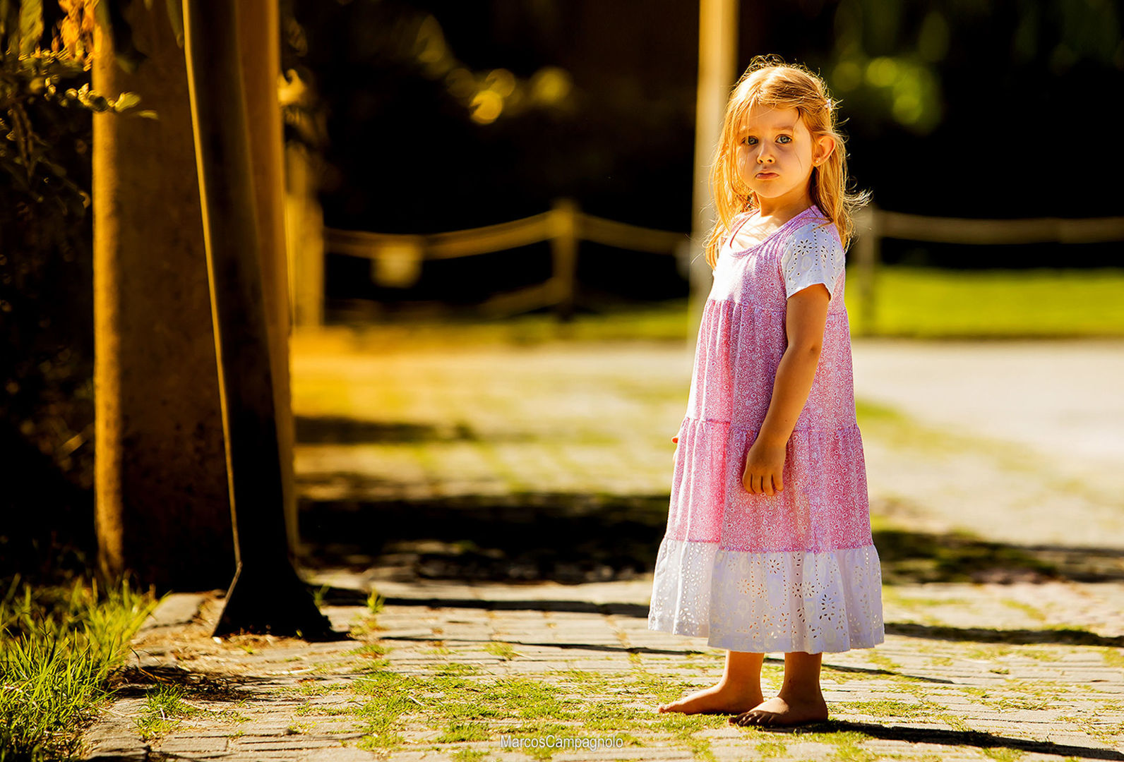 Foto Book de Família - Imagem 6