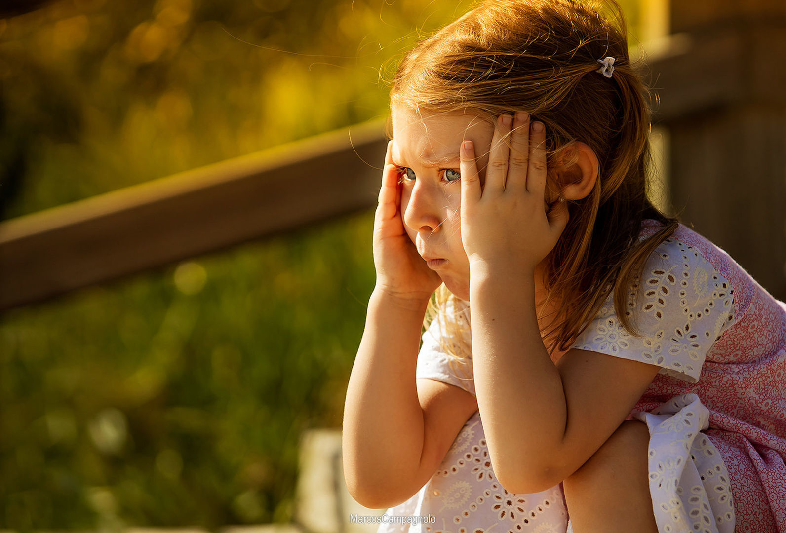 Foto Book de Família - Imagem 8