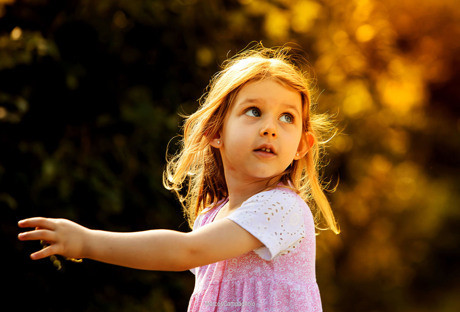 Foto Book de Família - Imagem 7