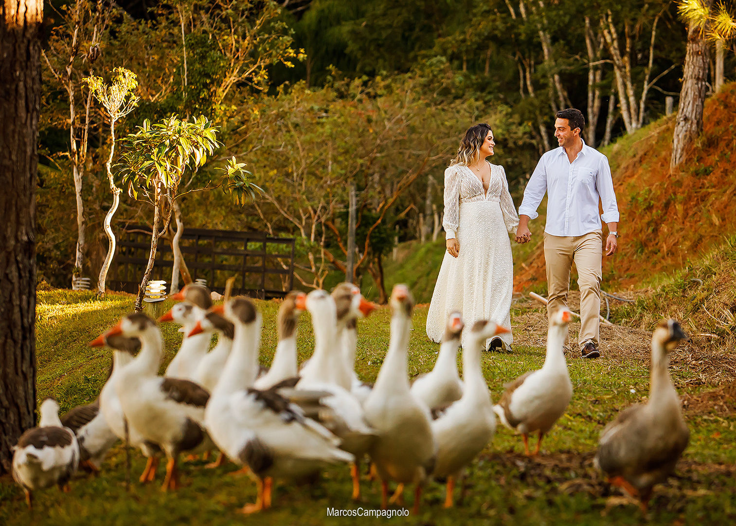 Foto Ensaio Pré Casamento Solange e Rafael - Imagem 5