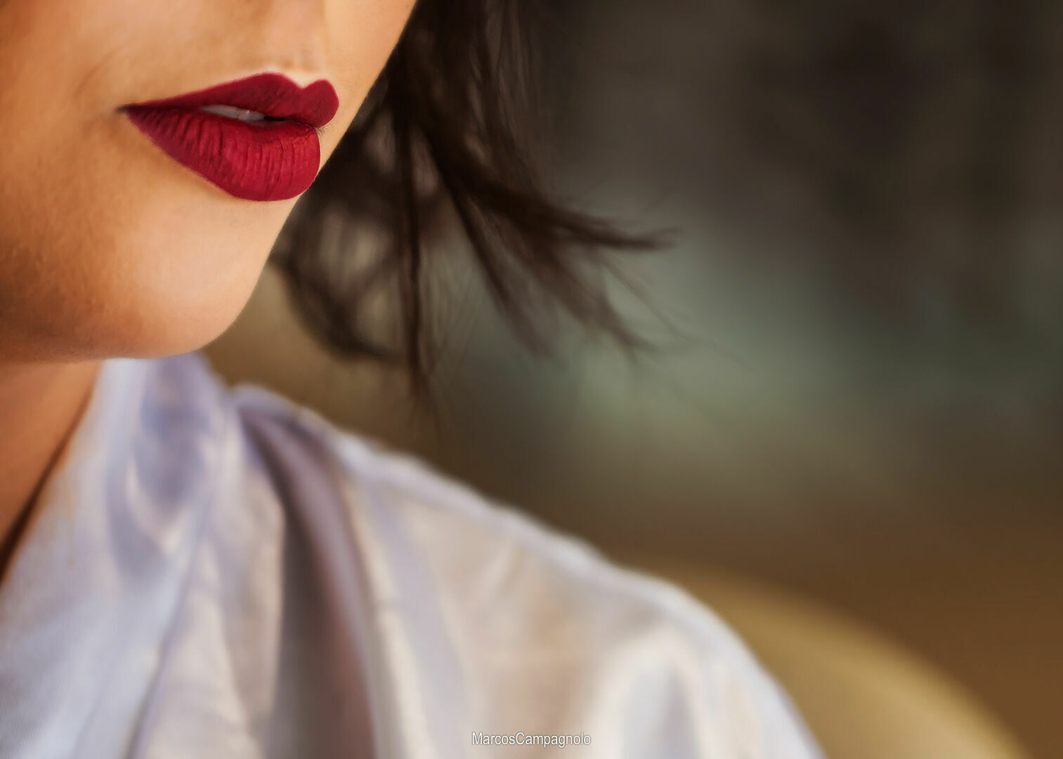 Foto Casamento Carol e Ricardo - Imagem 1