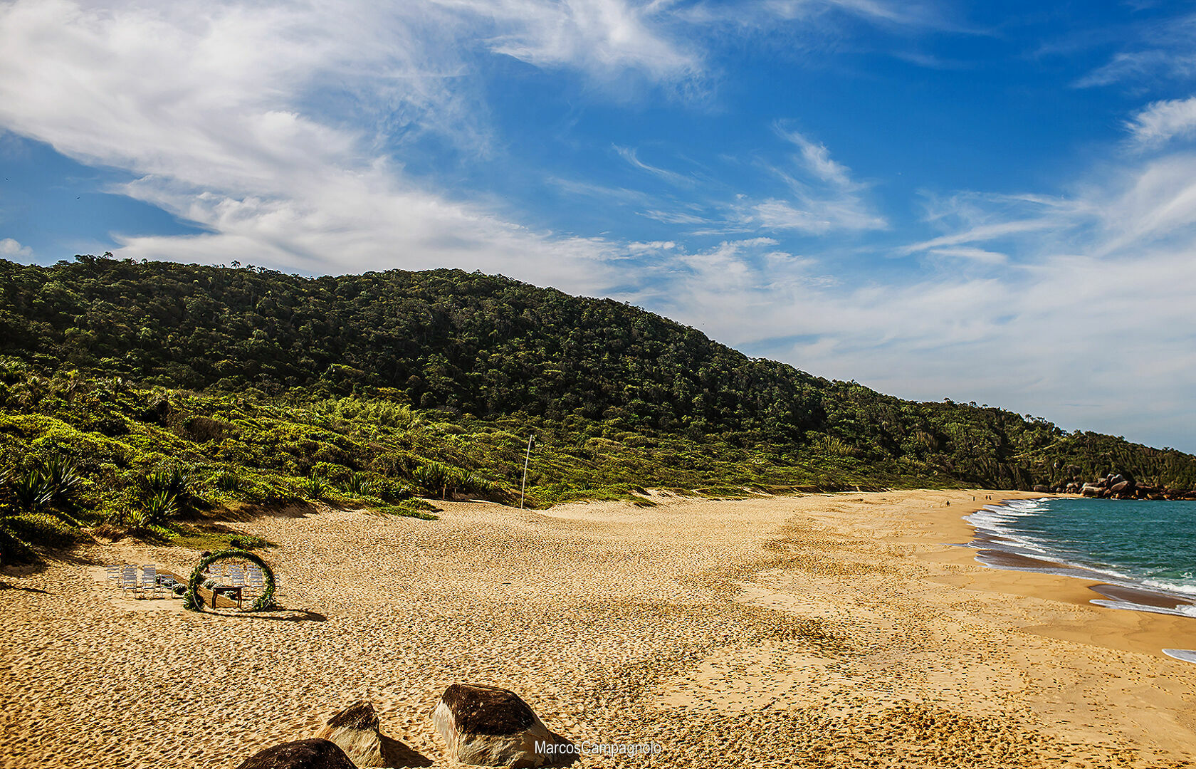 Foto Casamento Carol e Ricardo - Imagem 13