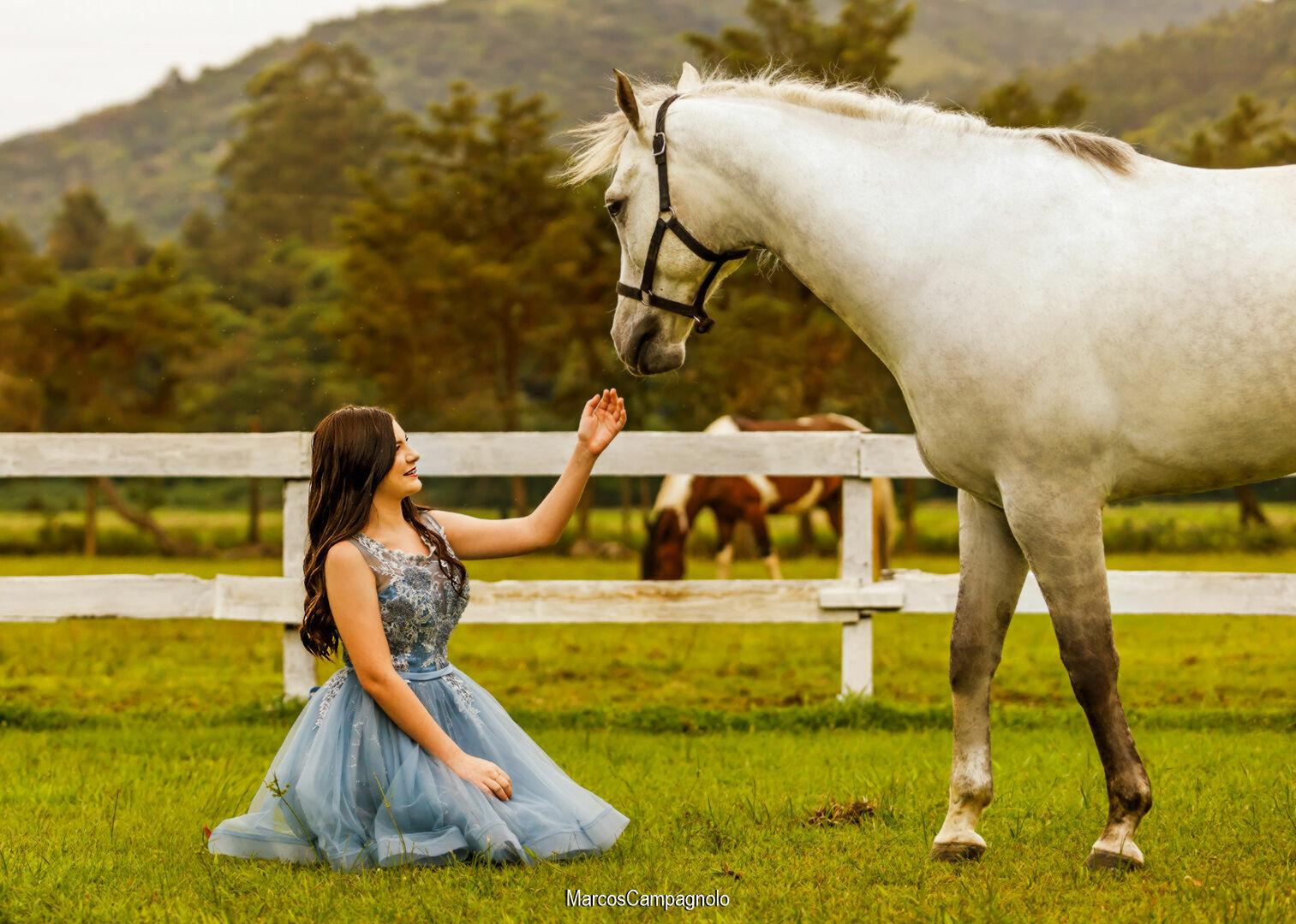 Foto Ensaio 15 anos Maria Clara - Imagem 1