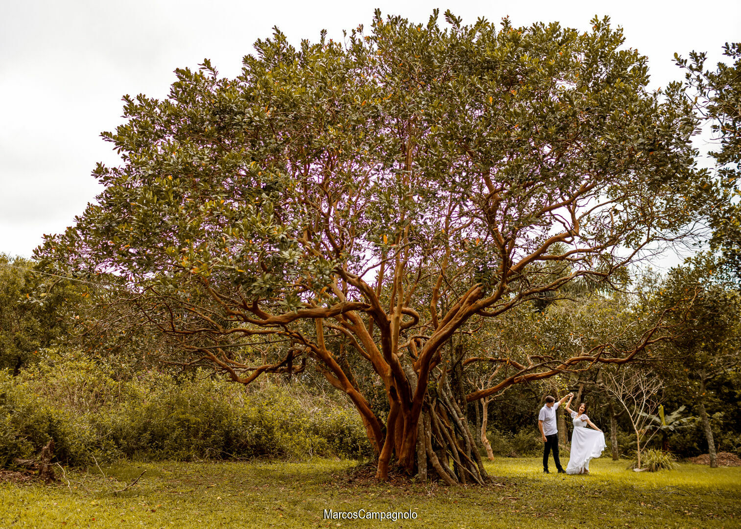 Foto Ensaio Pré Casamento Gabriely e Eliel - Imagem 7