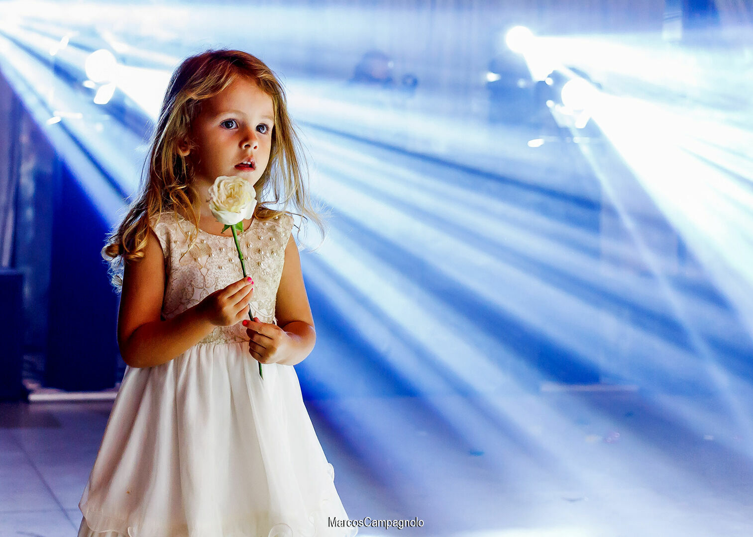 Foto Bodas de Prata Alexandra e Claudio - Imagem 38