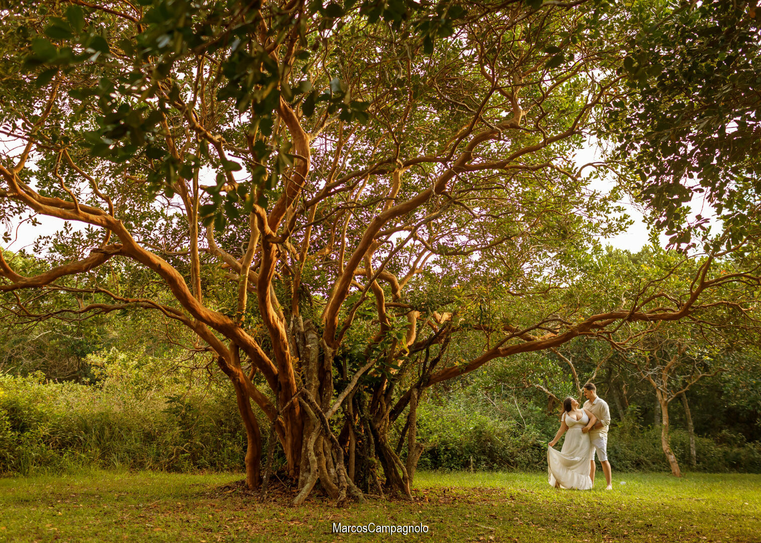 Foto Pré Casamento Jullya e Igor - Imagem 10