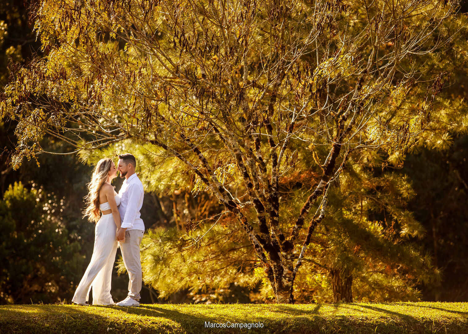 Foto Pré Casamento Vanessa e Rodolfo - Imagem 13