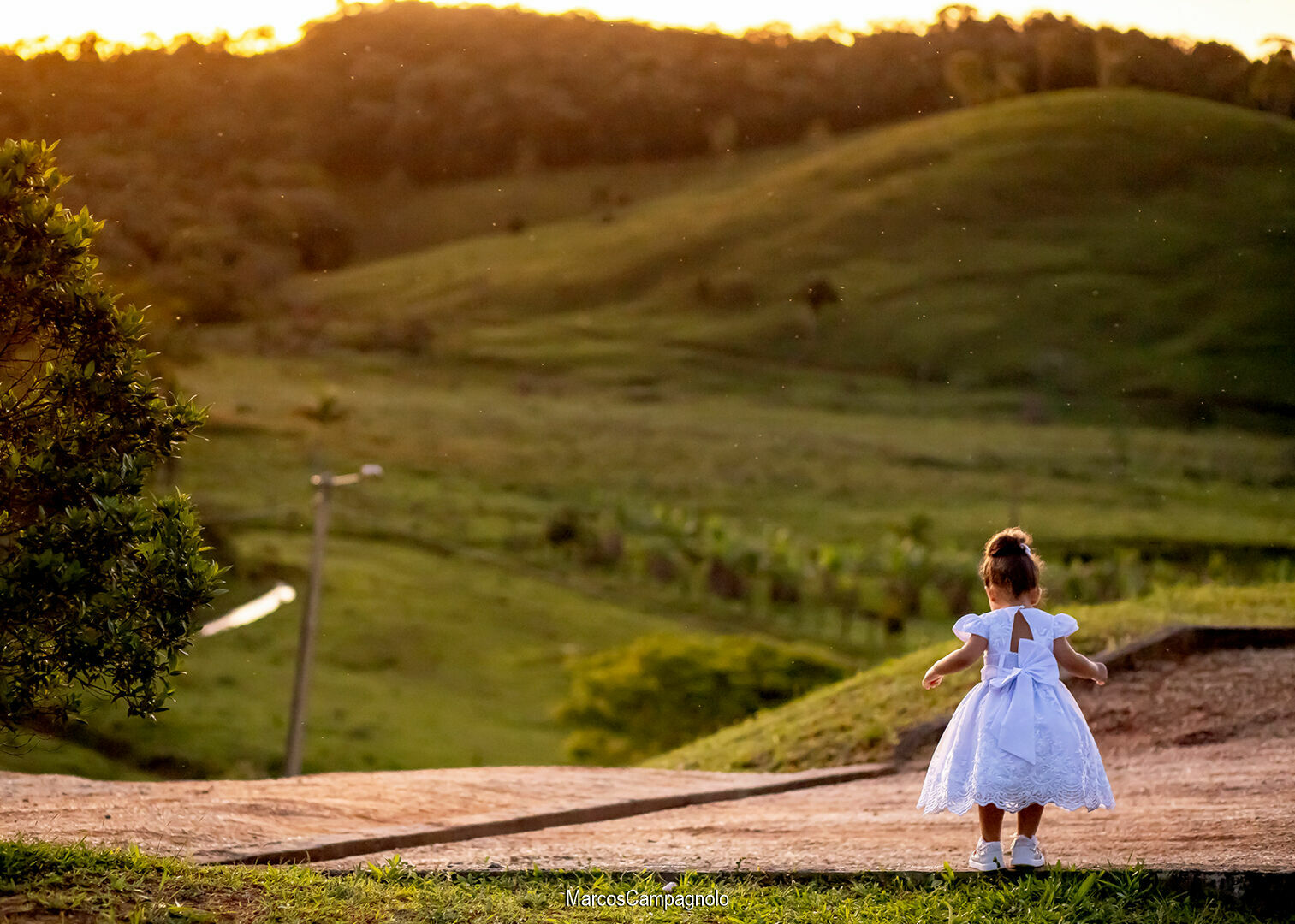 Foto Casamento Leticia e Claudio - Imagem 37