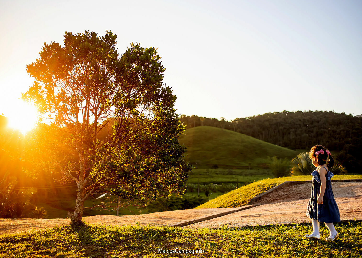 Foto Casamento Leticia e Claudio - Imagem 24