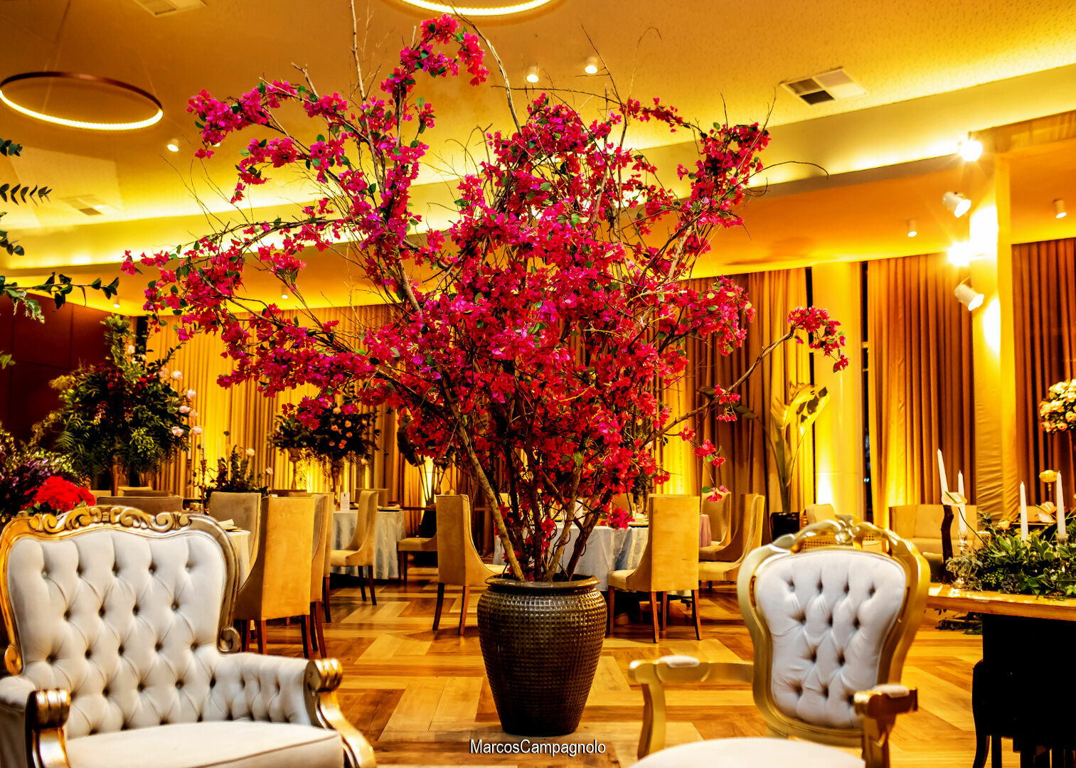 Foto 20 anos Luiza - Imagem 1