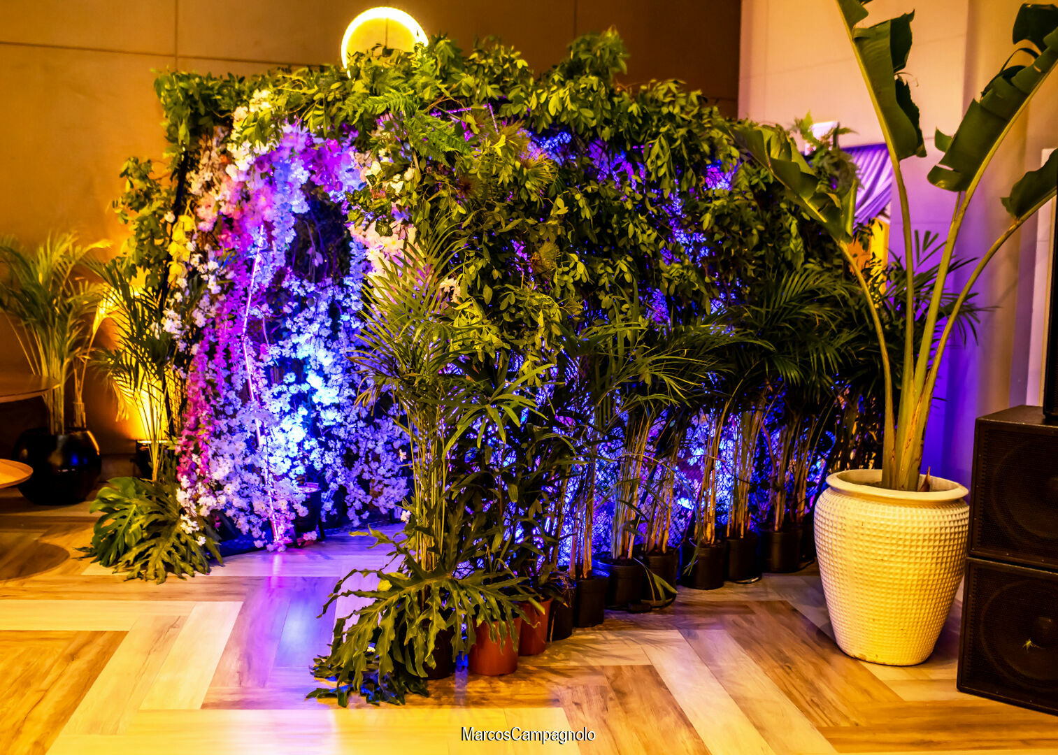 Foto 20 anos Luiza - Imagem 6