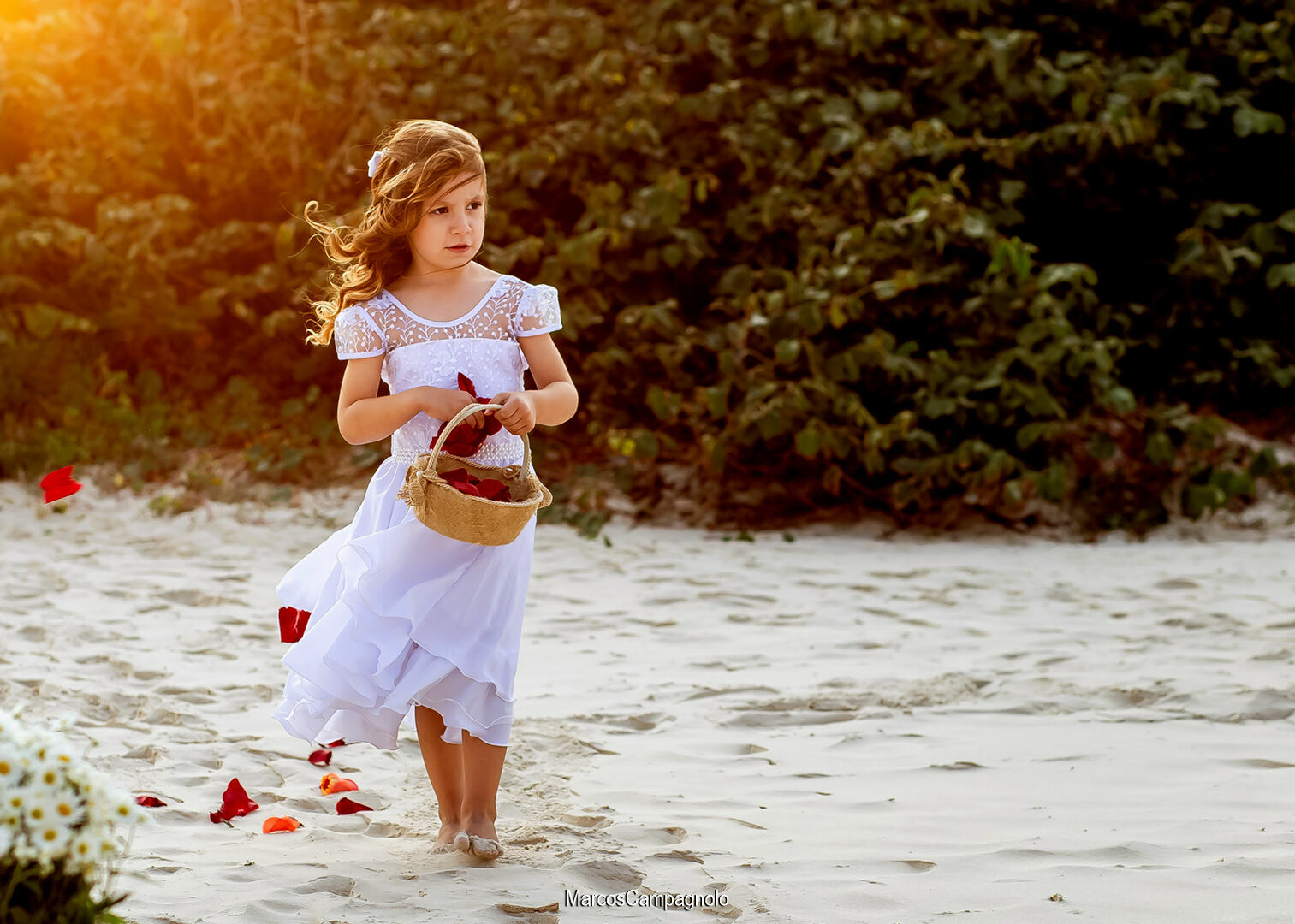 Foto Casamento Gislaine e Paulo - Imagem 6
