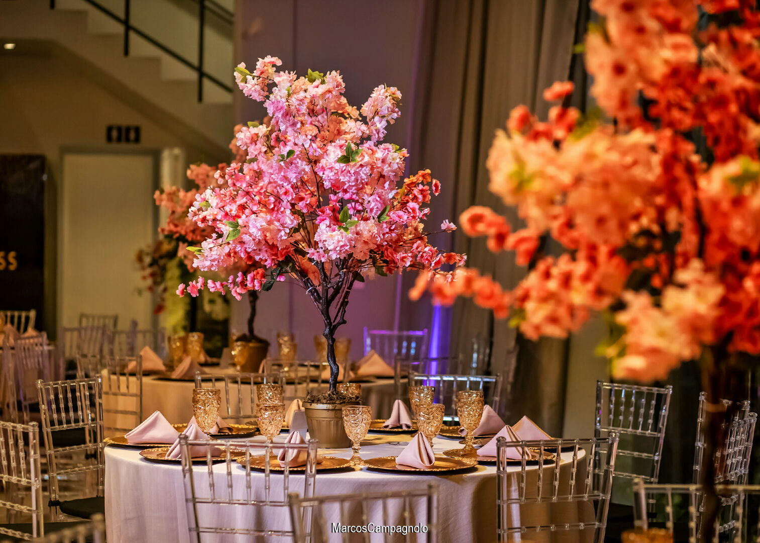 Foto 15 anos Manuela - Imagem 0